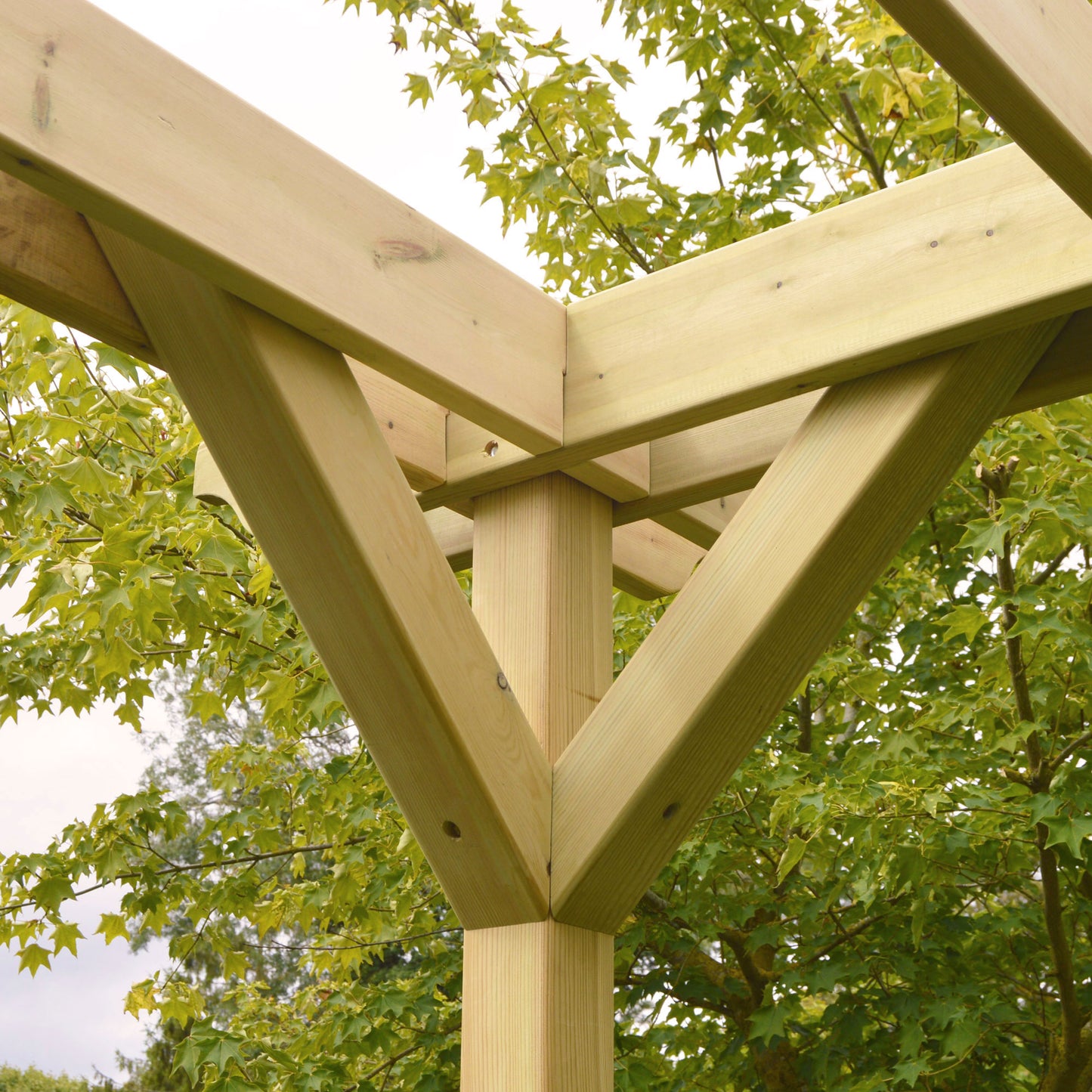 Double Premium Pergola - 1.8m Width